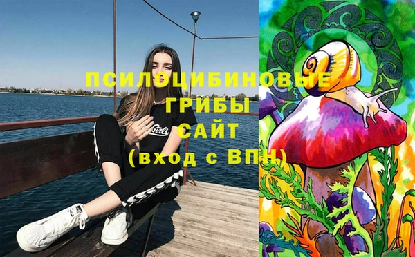 СК Богданович