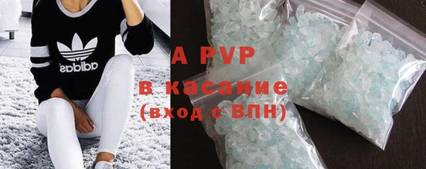 ПСИЛОЦИБИНОВЫЕ ГРИБЫ Богородицк